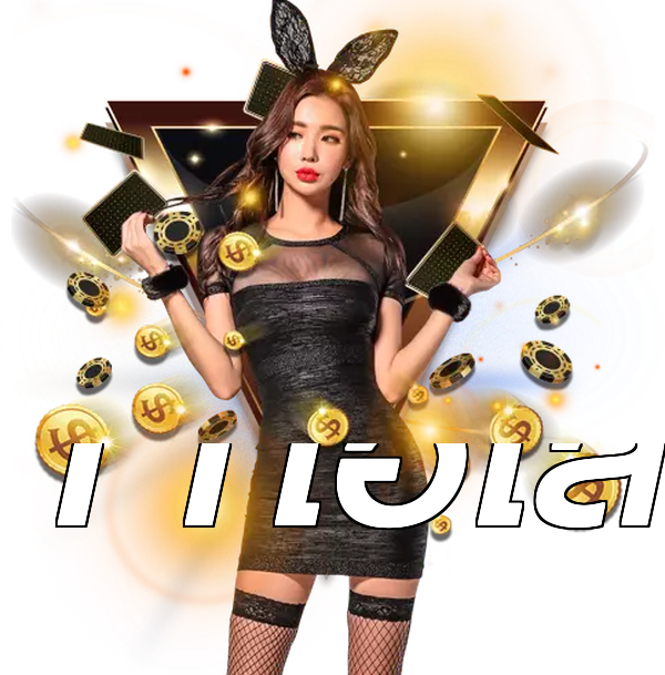 11ไฮโล